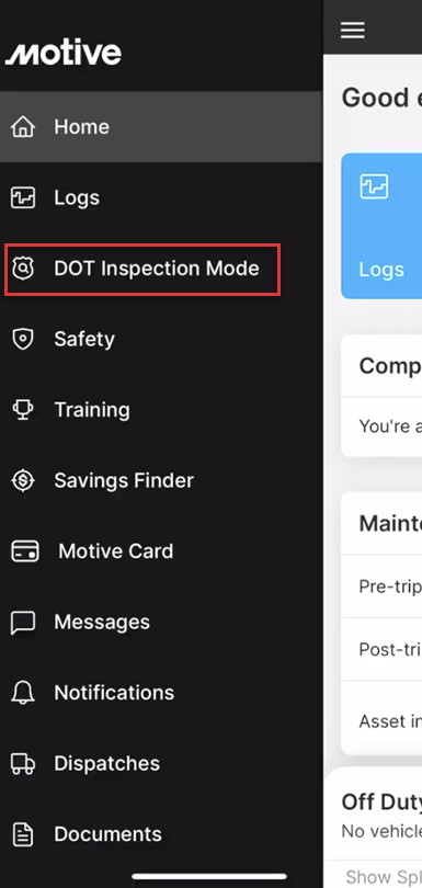 17 DOT Inspection Mode.png