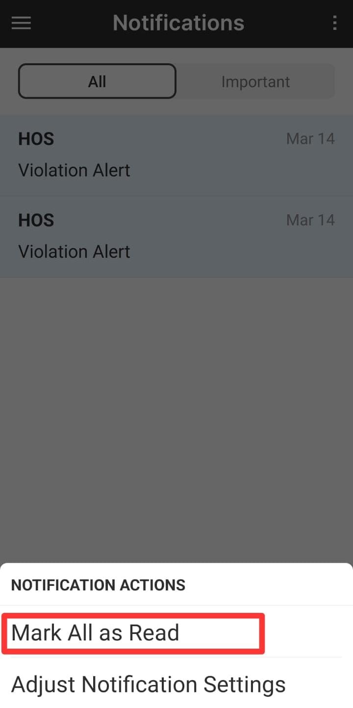 WhatsApp Image 2025-03-18 at 3.08.36 PM.jpeg