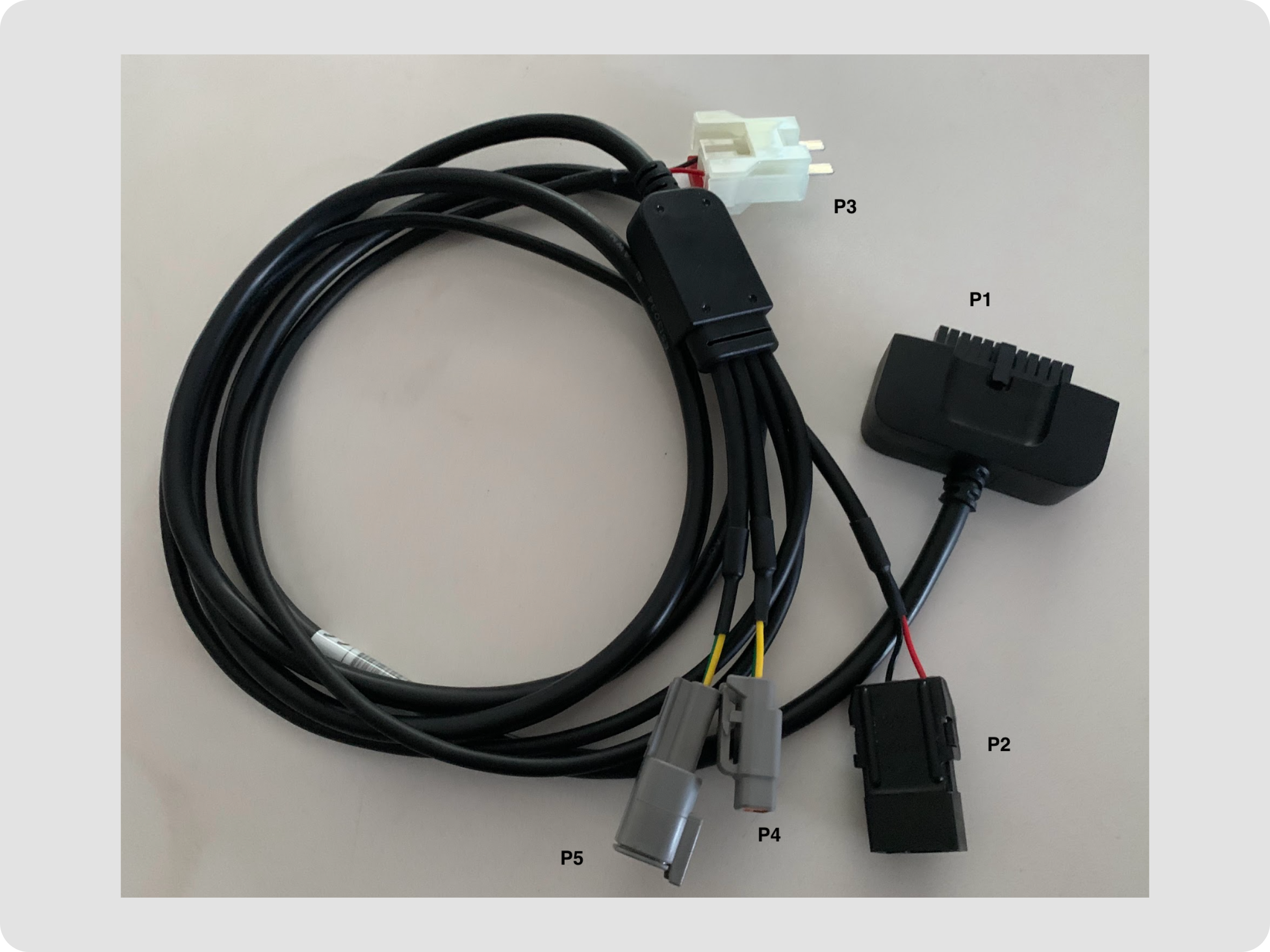 desktop-full - 2026-01-06T131719.121.png