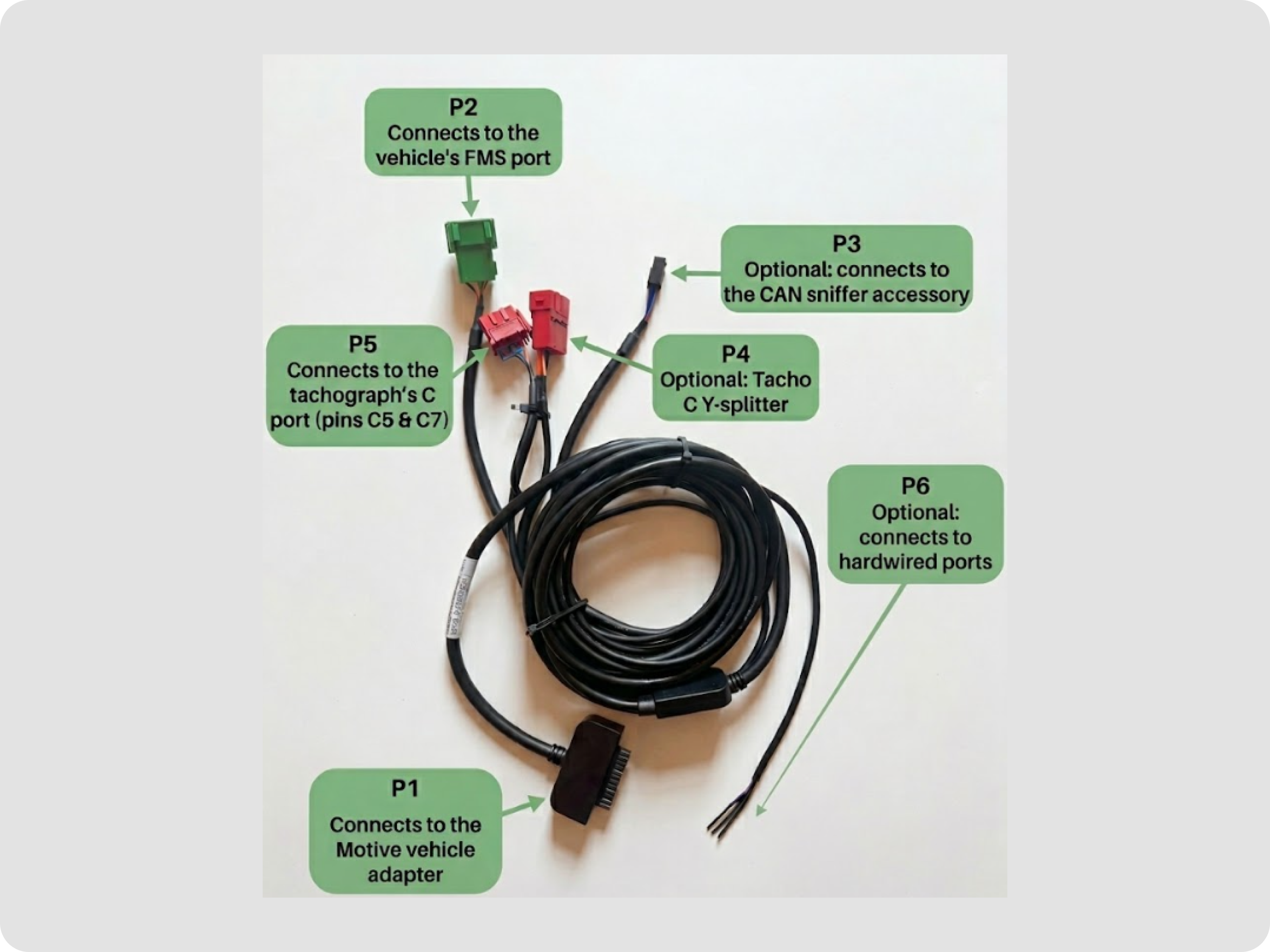 desktop-full - 2026-10-07T093702.467.png